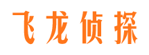 铁力市调查公司